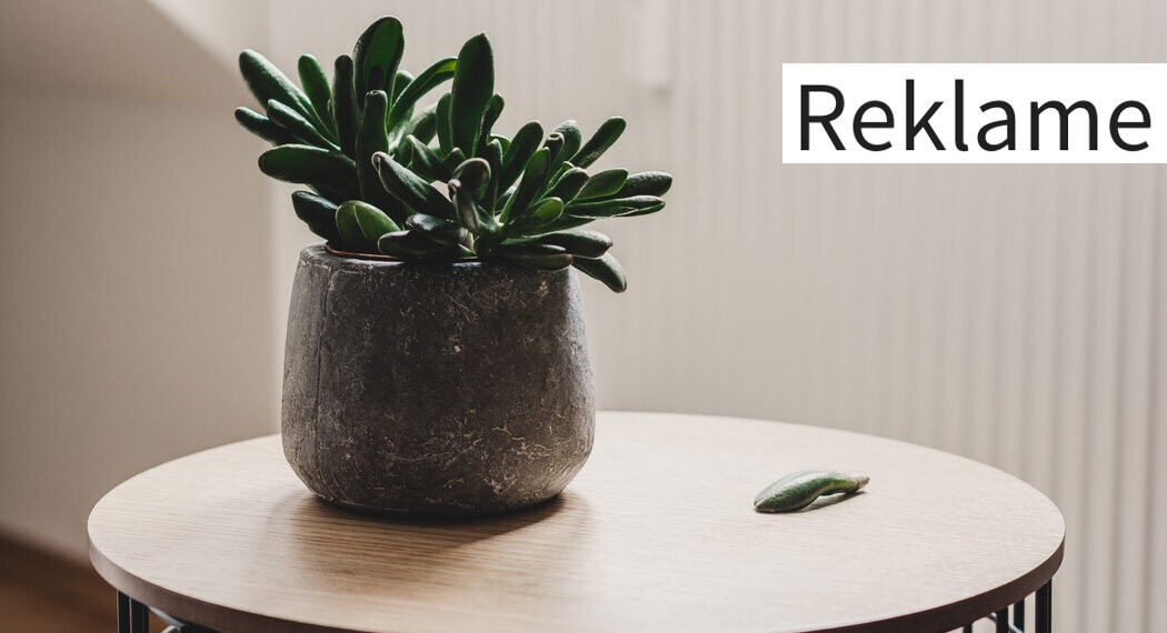 Kigger du på nyt sofabord? Her er dine muligheder?