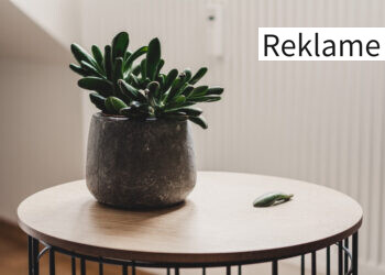 Kigger du på nyt sofabord? Her er dine muligheder?