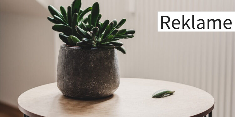 Kigger du på nyt sofabord? Her er dine muligheder?