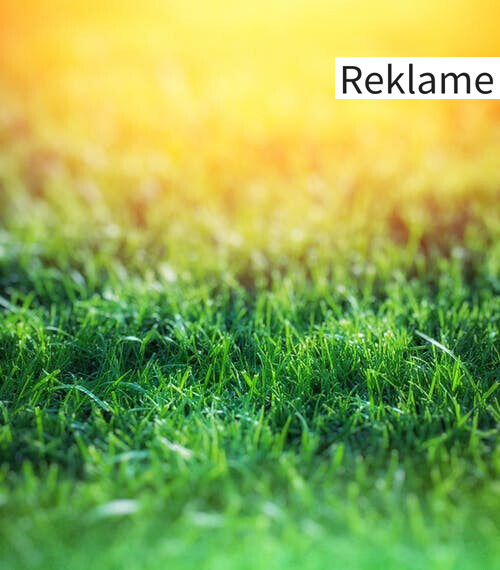 Sådan finder du den rigtige slagleklipper