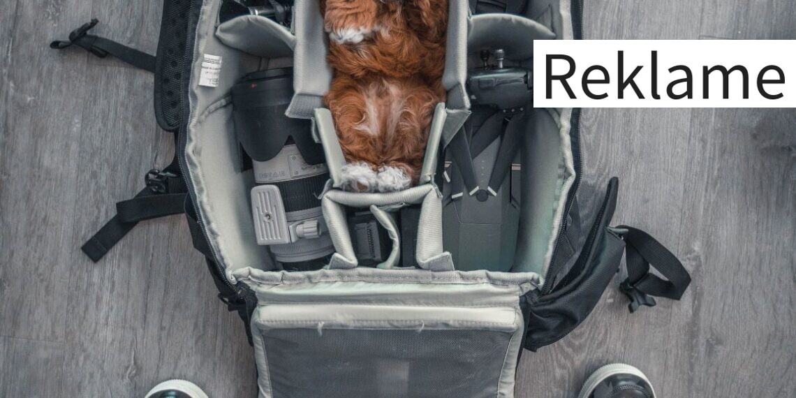 Hundeudstyr til din bedsteven